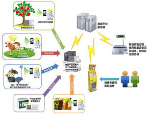 物聯網技術賦能產業升級 防偽、食品安全與新材料研發的革新應用